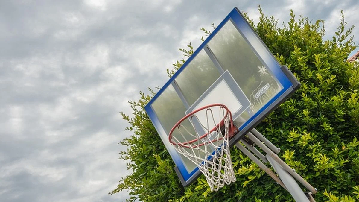WNBA奖项观察:威尔逊领跑下的数据趋势与观赛感受